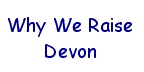 Devon button