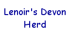 Lenoir's Devon Herd button